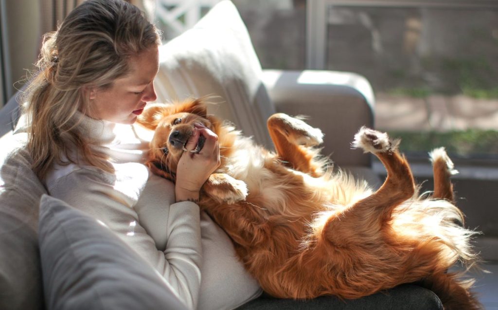 dog biting and mouthing woman's hands