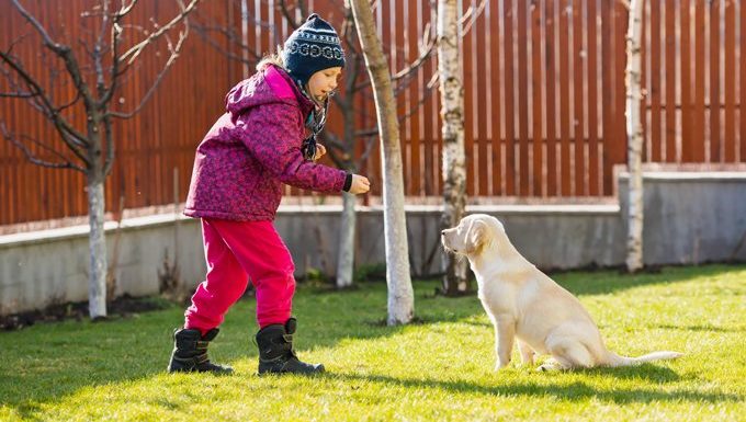 girl training her puppy