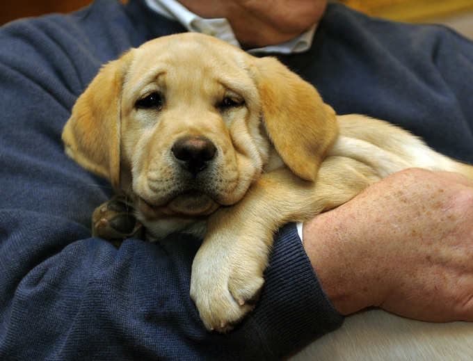 (Photo credit should read TIMOTHY A. CLARY/AFP/Getty Images)