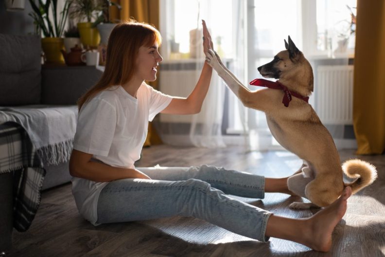 A woman works on some dog training tricks with her pup on the floor of their living room.