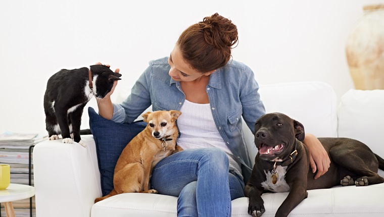 Shot of a beautiful young woman relaxing on the couch with her dog and cat