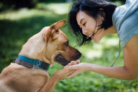 happy woman training dog and having fun