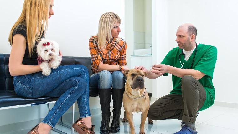 Owners Sitting In Vets Reception Area