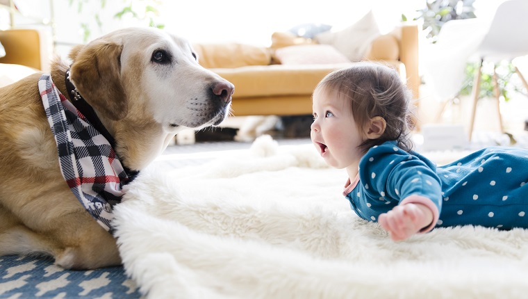 Baby girl and dog lying on rug