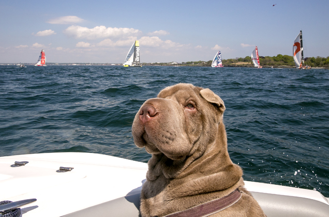 (Photo by Billie Weiss / Volvo Ocean Race via Getty Images)