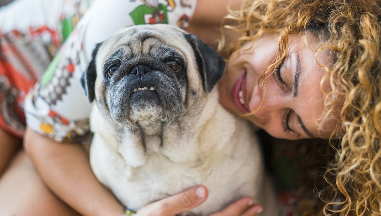 true love between beautiful caucasian woman and old dog pug, Odd friends and family alternative concept. cheerful lady and smile domestic animal. portraits