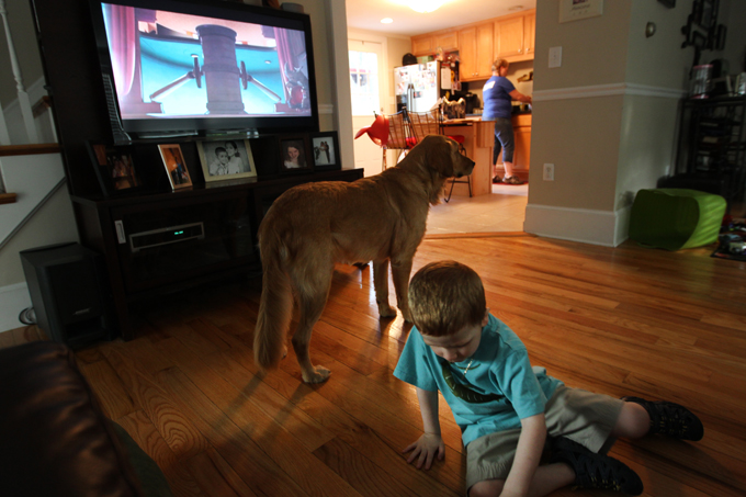 (Photo by Joanne Rathe/The Boston Globe via Getty Images)