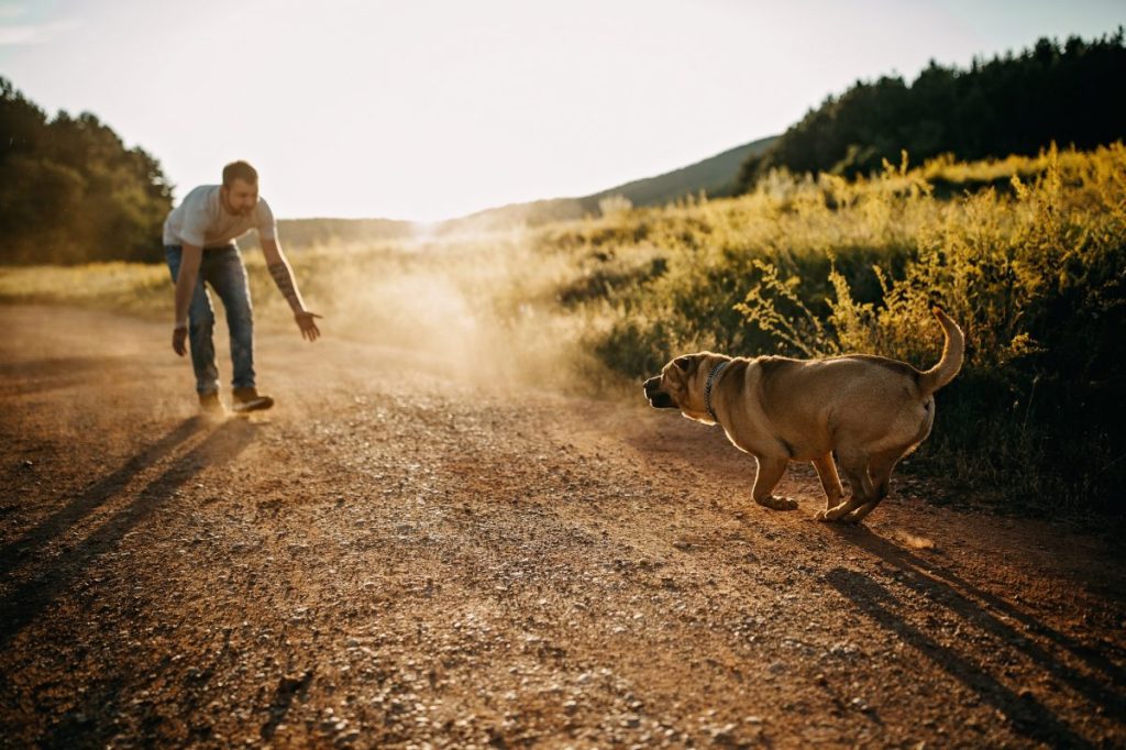 man practicing the come command with his dog