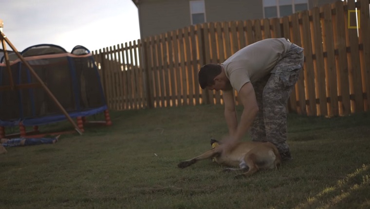 McDonald bends down to pet Layka in his backyard.