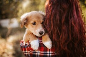woman hugging and raising puppy