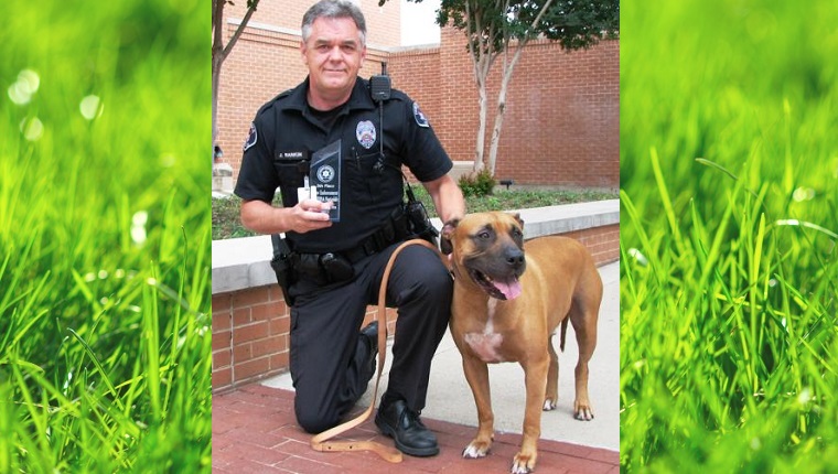 Cyrus the Pit Bull stands next to his handler who holds a trophy.