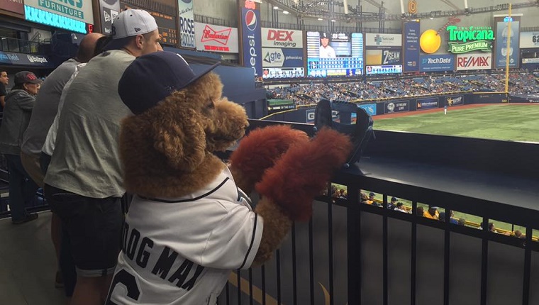 Max wears a jersey and a hat as he watches the baseball game.