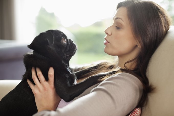 Woman relaxing with dog on sofa