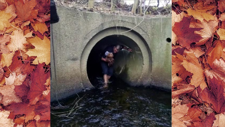 The officer emerges from the tunnel with the dog