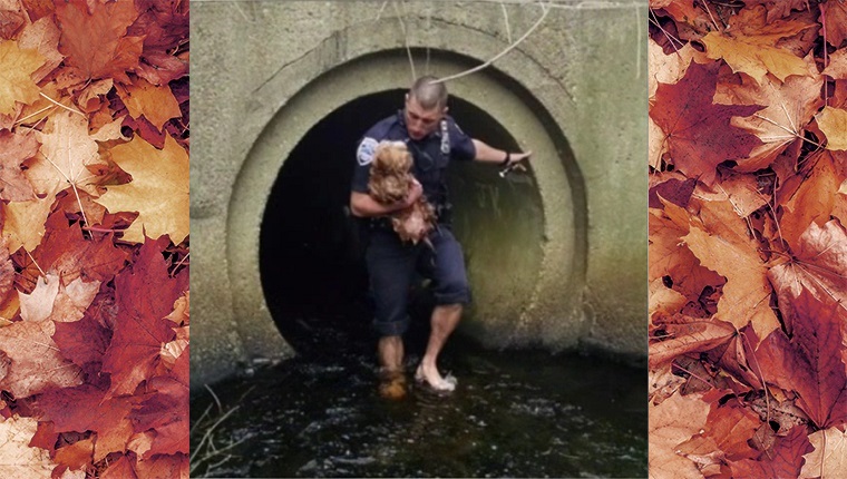 The officer is out of the tunnel with the dog in his arms