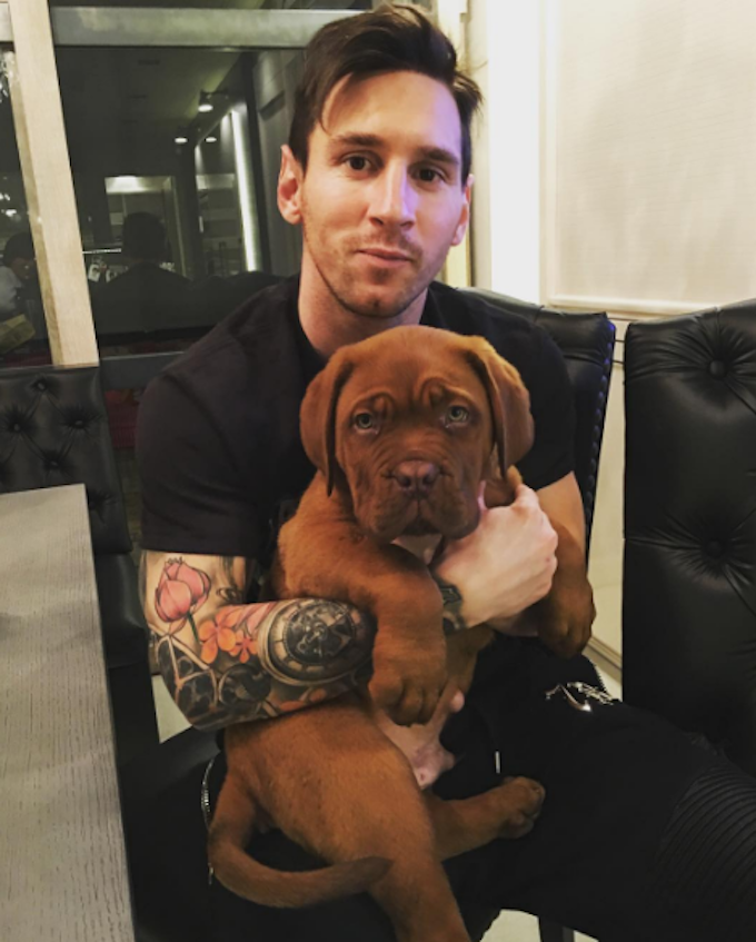 MessiDog