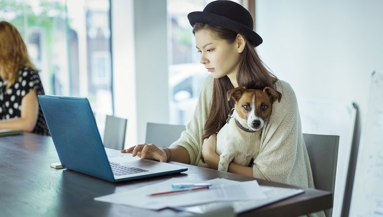 Woman holding dog and working in office