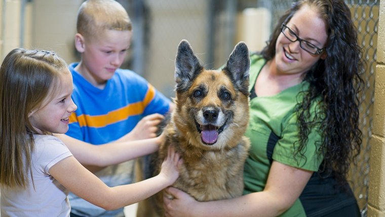 Kids adopting a dog from the animal shelter.