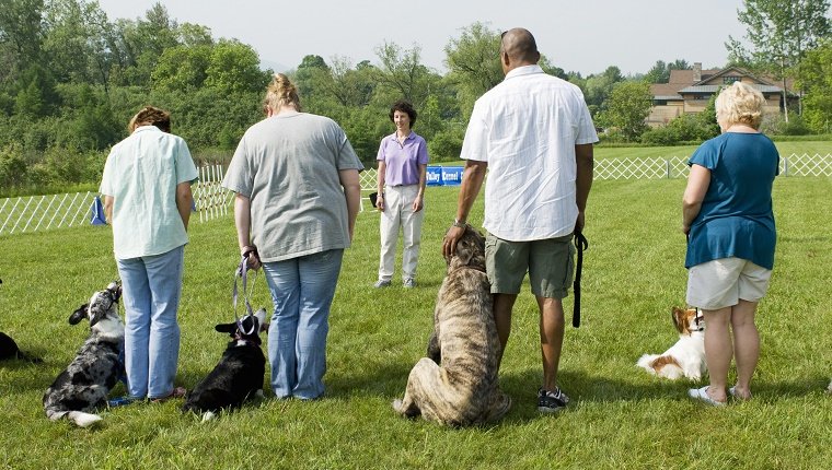 Instructor giving direction to a line of owners with their dogs during a dog training class.