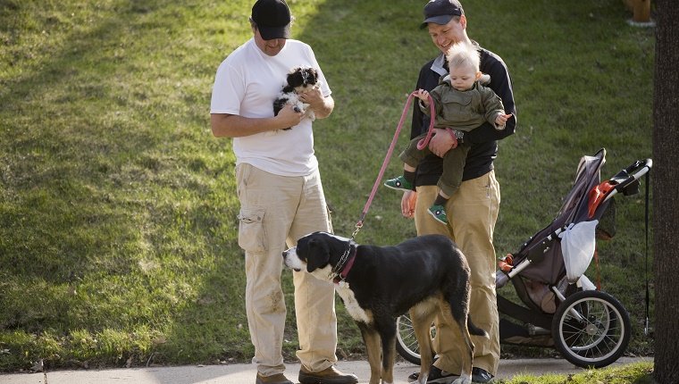 Friends and toddler walking the dogs