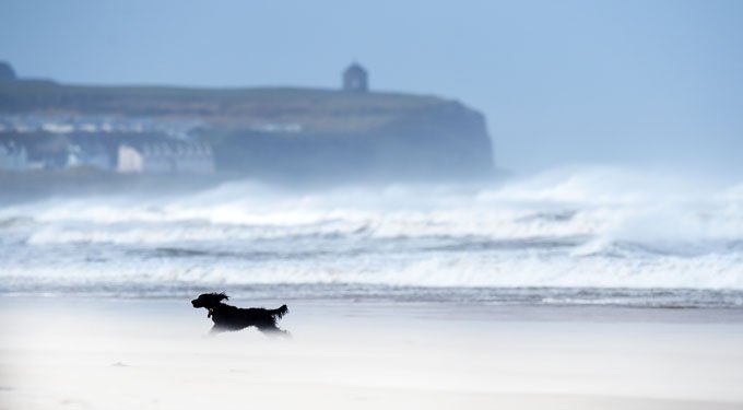 (Photo by Charles McQuillan/Getty Images)