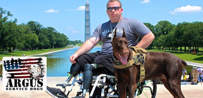 K-9 companions for veterans. (Photo Credit: Argus Service Dog Foundation)