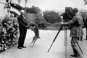 President Warren G. Harding (1865-1923) plays with his dog as a photographer takes a picture of them. Harding was the twenty-ninth president of the United States, serving from 1921 until his death in office in 1923..