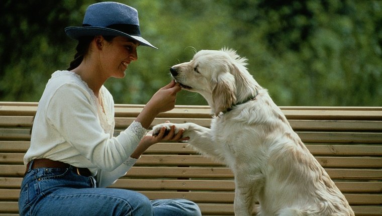 GIRL FEEDING SNACK TO DOG ON PARK BENCH