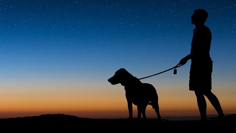 Man walking dog on a clear night