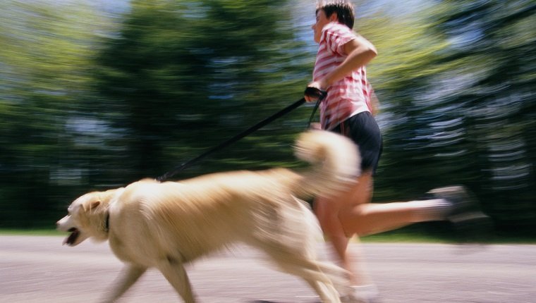 Woman Jogging with Dog