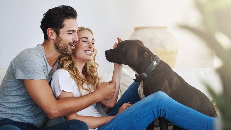 Shot of a young couple relaxing at home with their dog