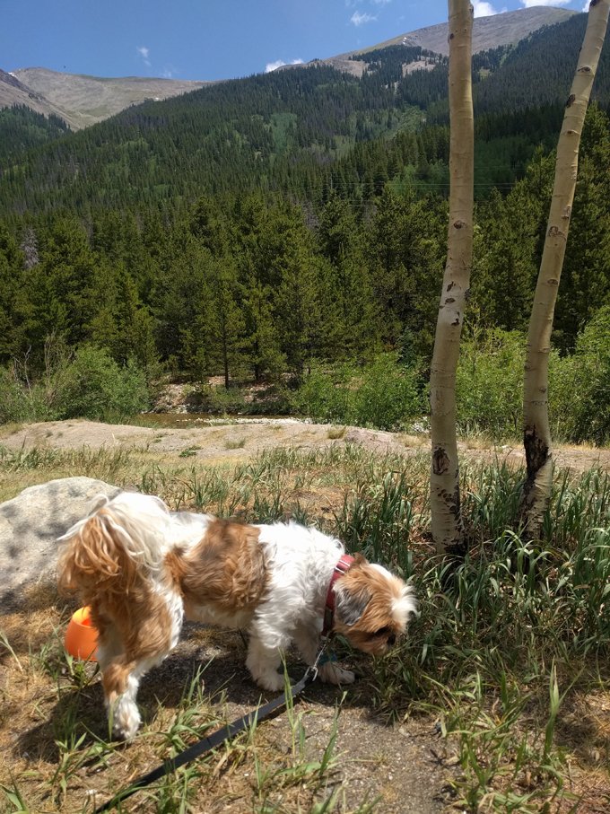 This is George in Colorado!