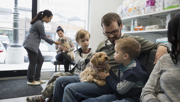 Father and sons waiting with dog veterinarian lobby