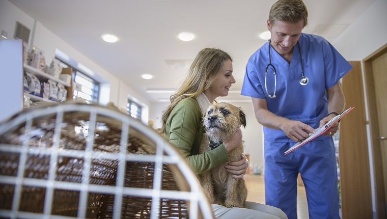 Vet talking to woman holding pet dog in veterinary waiting room