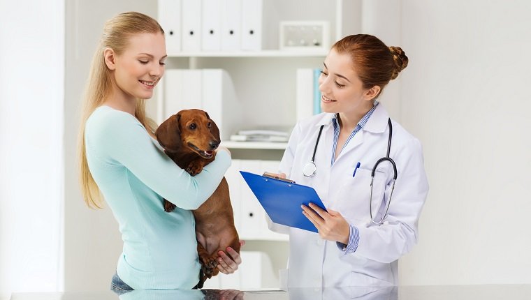 medicine, pet care and people concept - happy woman holding dachshund dog and veterinarian doctor with clipboard at vet clinic