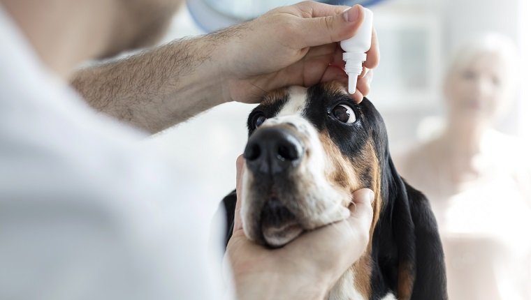 Veterinary clinic. Warsaw, Poland