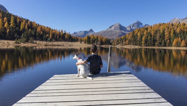 A child and a dog are looking at Lake Staz in Switzerland. Large file