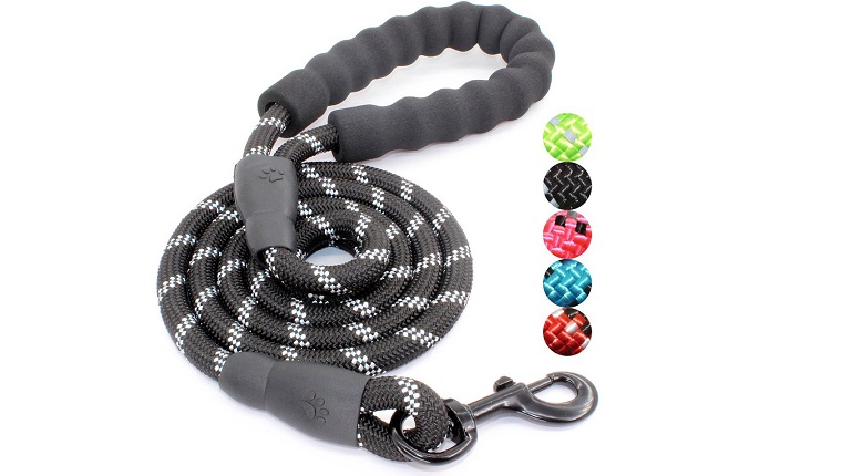 dog leash