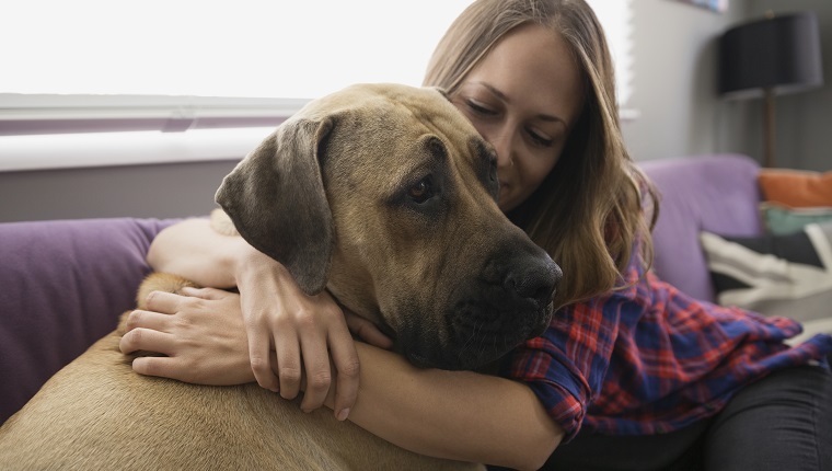 Woman hugging dog on living room sofa