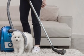 Woman holding vacuum standing with fluffy white dog