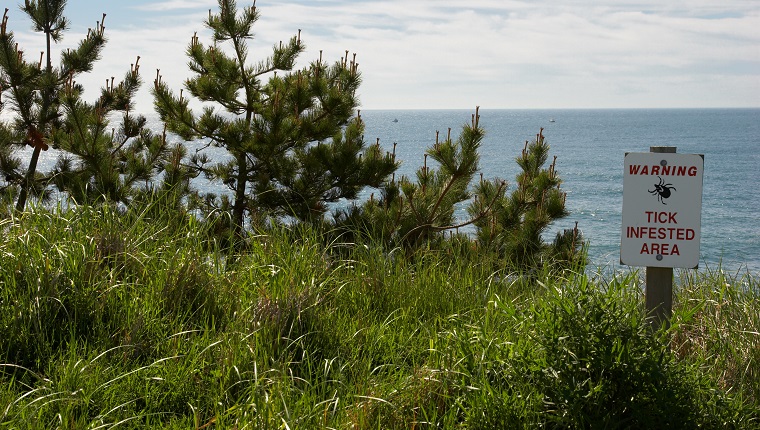 A sign warning about an area might be infested with ticks. Focus point is on sign with the trees in the back in focus. The weeds towards the bottom are slightly out of focus.