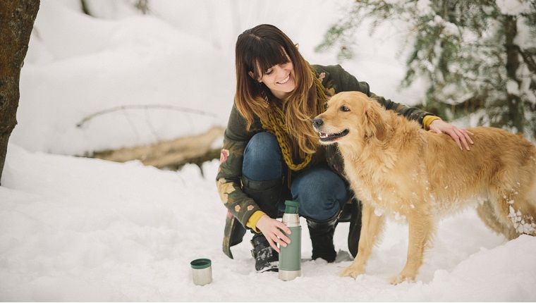 A woman stroking a golden retriever in woodlands in winter.