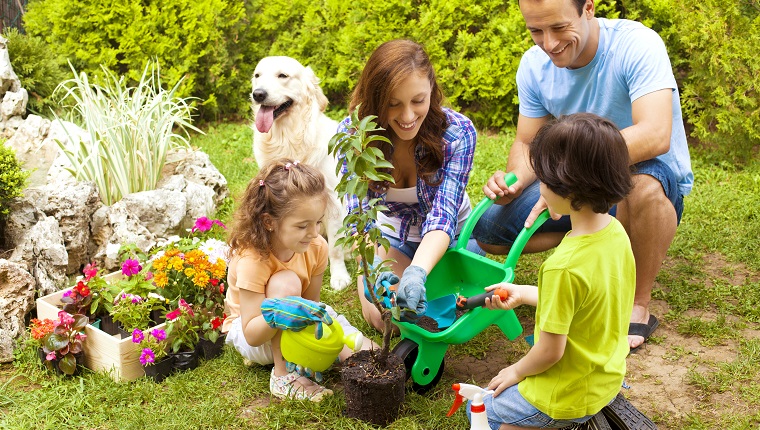 Family with two children and dog planting flowers in a back or front yard.