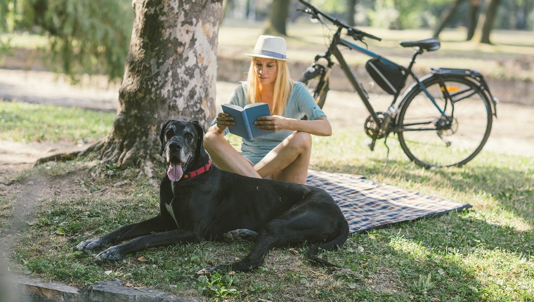 Mid adult woman enjoying the summer day with her dog, great dane, in the park. They are sitting on blanket and woman is reading book.