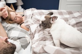 High angle view of couple relaxing on bed with French bulldog at home