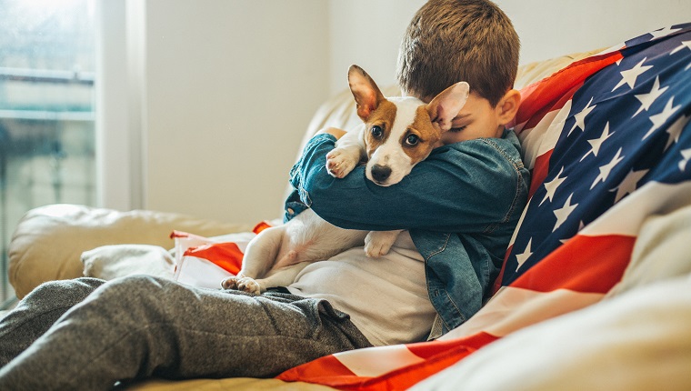 Corgi dog and boy enjoy July 4th safely away from fireworks