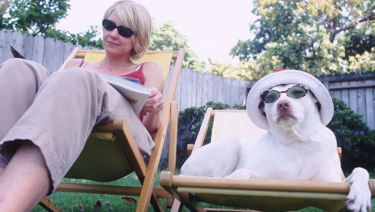 woman and dog on lawn chairs