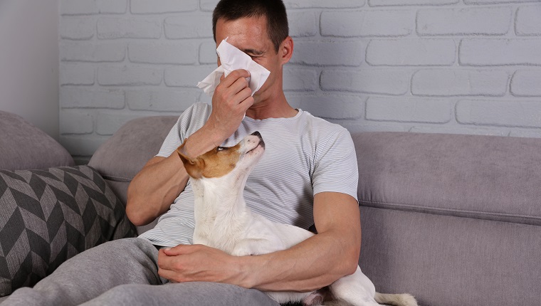 Man having pet allergy symptoms : runny nose, asthma