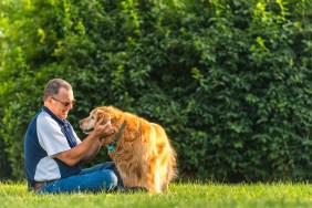 A middle aged Caucasian man sitting in the grass petting/rubbing the ears his senior Golden Retriever as the dog give him a paw at sunset. This setting could be his back yard or at a public park.