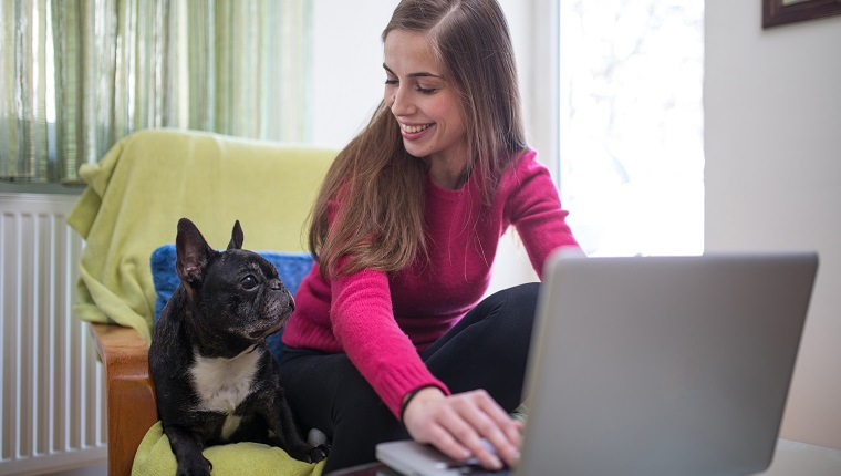 One woman, sitting on a chair with his dog and working on laptop.